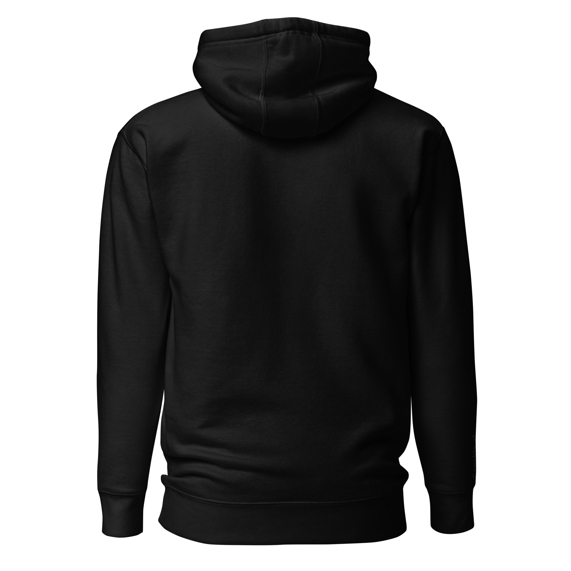 Black on Black Embroidered Hoodie
