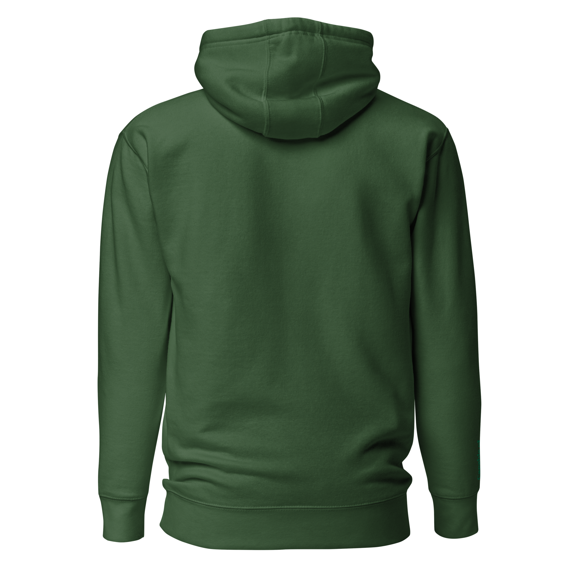 Forest Green Solid Embroidered Hoodie