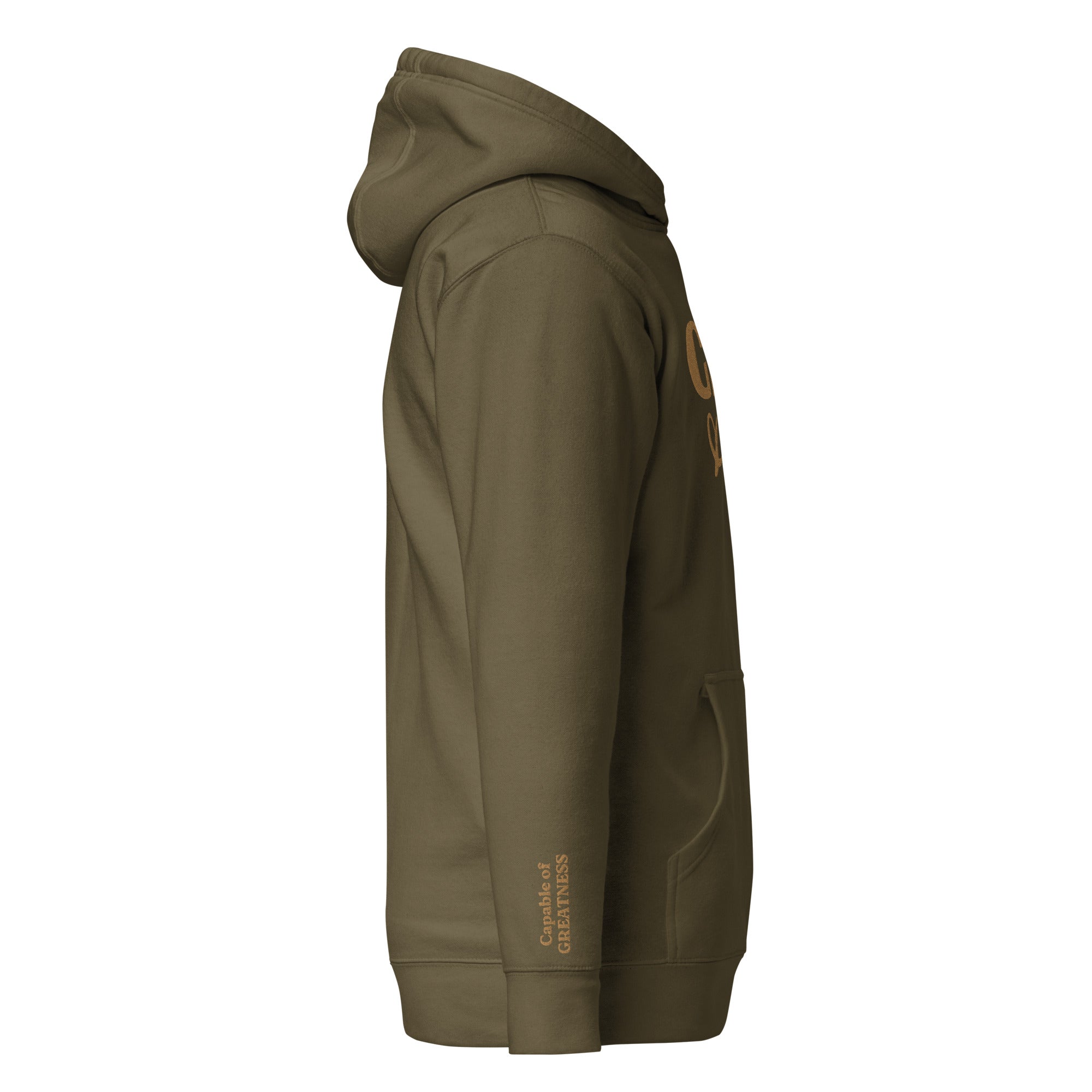 Olive/Gold Embroidered Hoodie