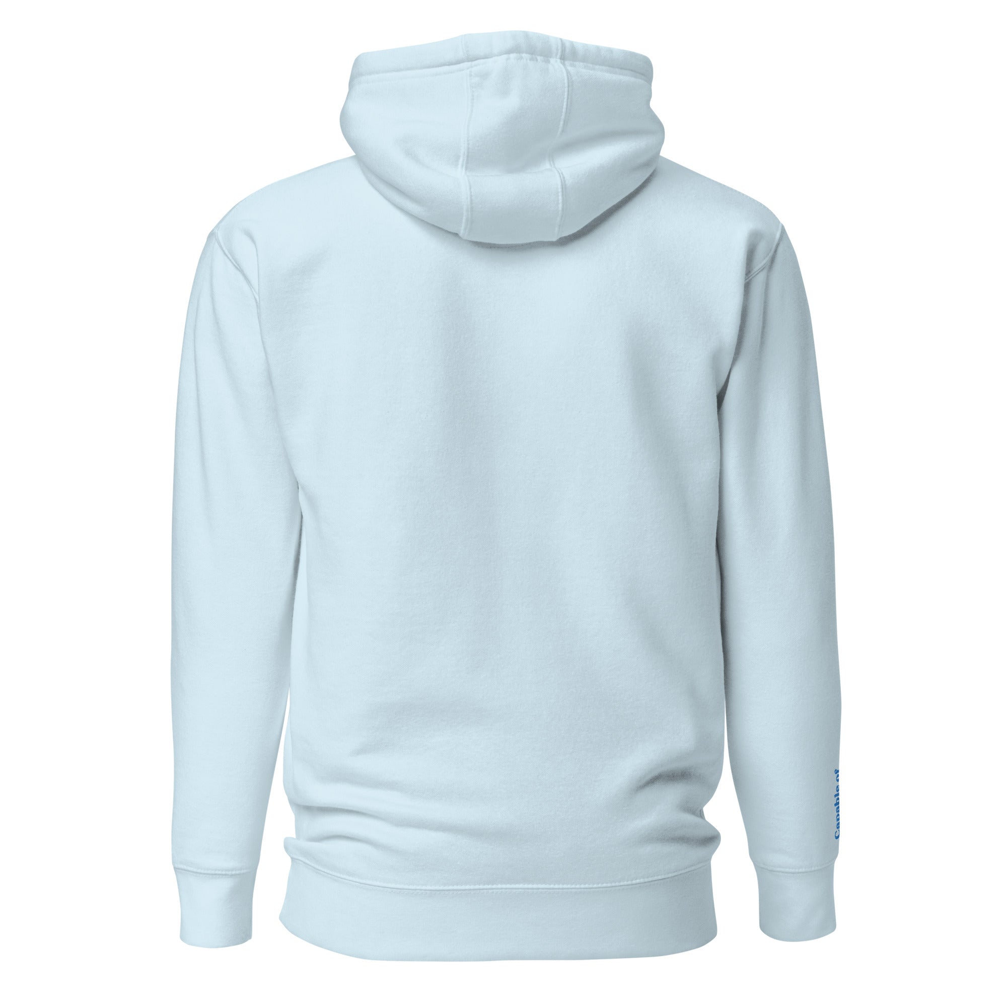 Light Blue Solid Embroidered Hoodie
