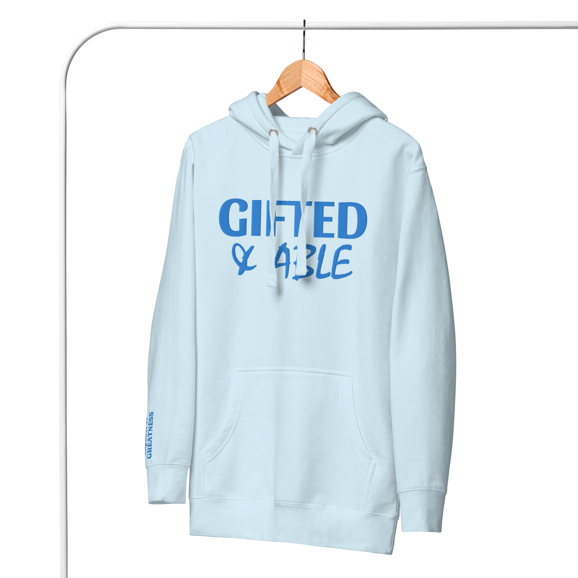 Light Blue Solid Embroidered Hoodie