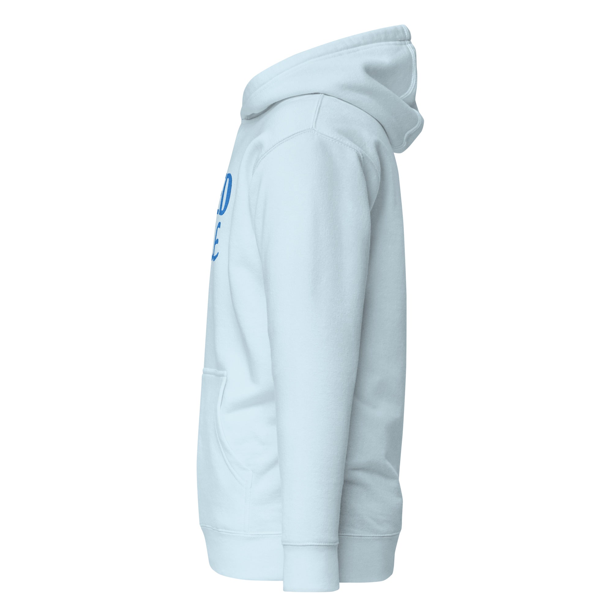Light Blue Solid Embroidered Hoodie