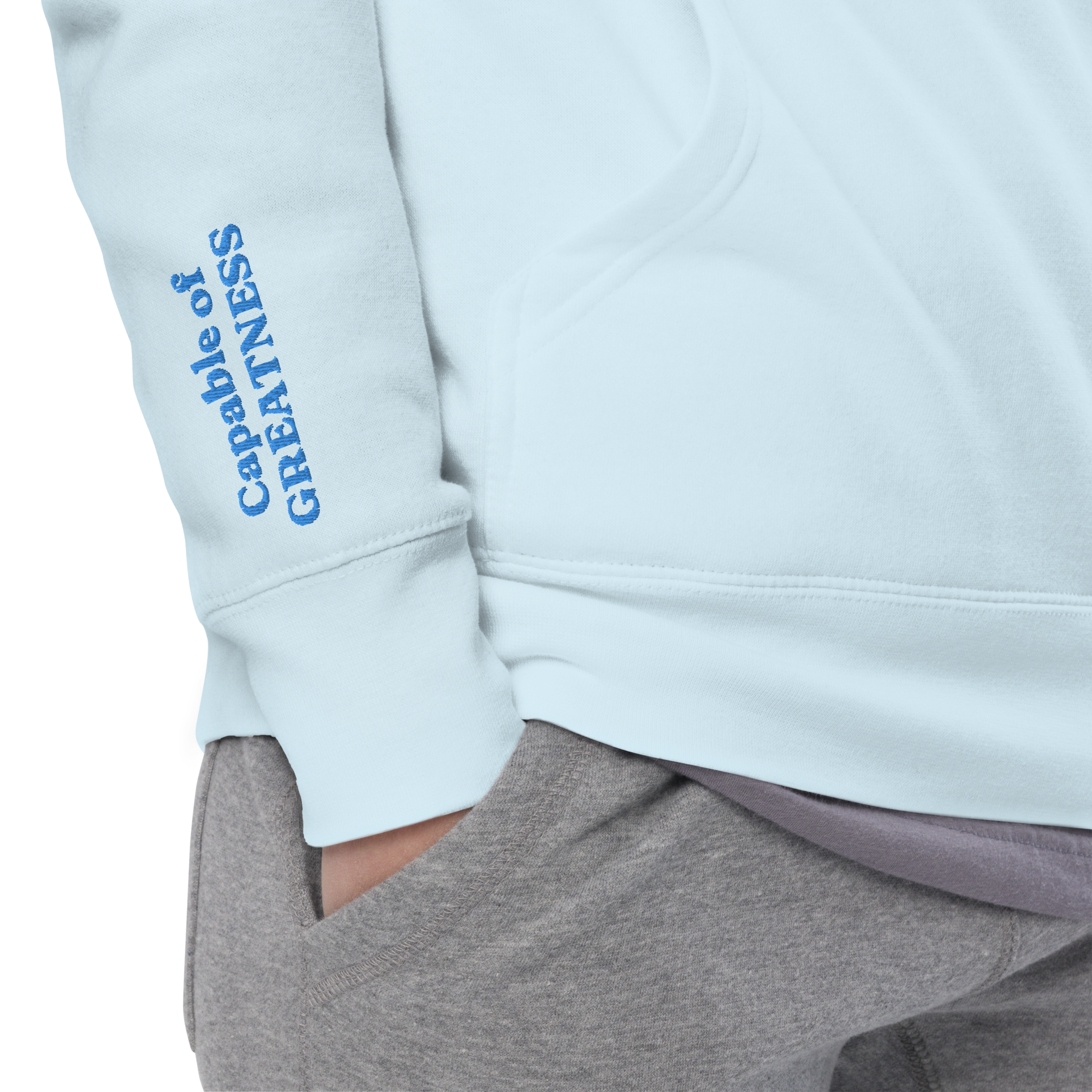 Light Blue Solid Embroidered Hoodie