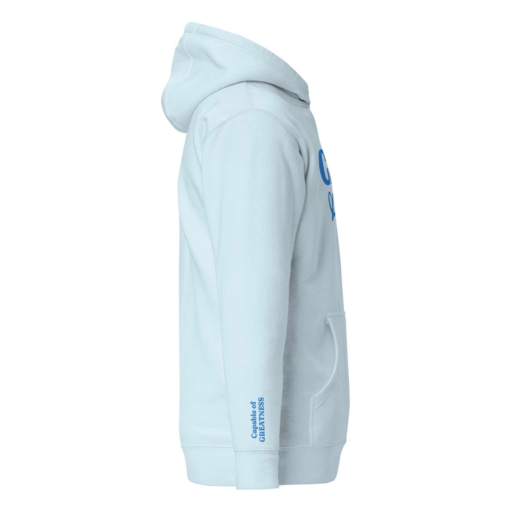 Light Blue Solid Embroidered Hoodie