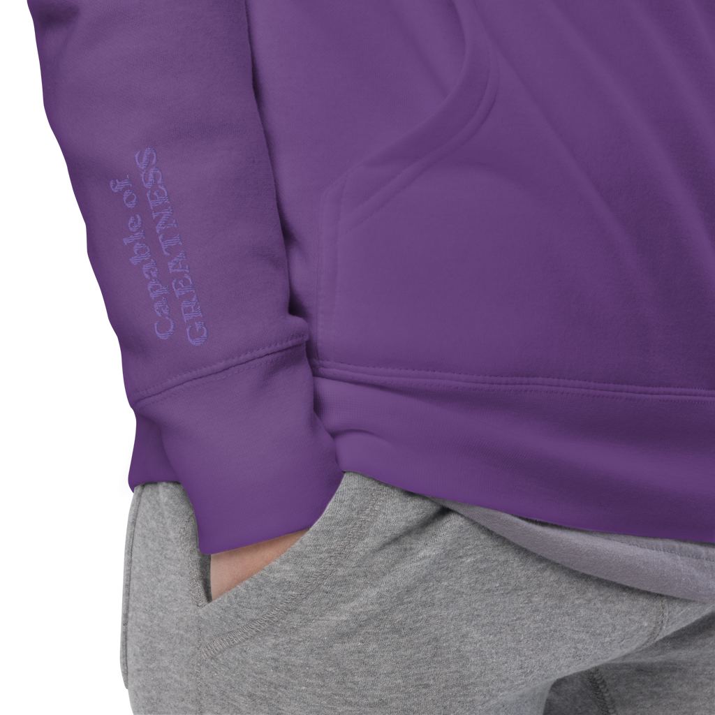 Royalty Purple Solid Embroidered Hoodie