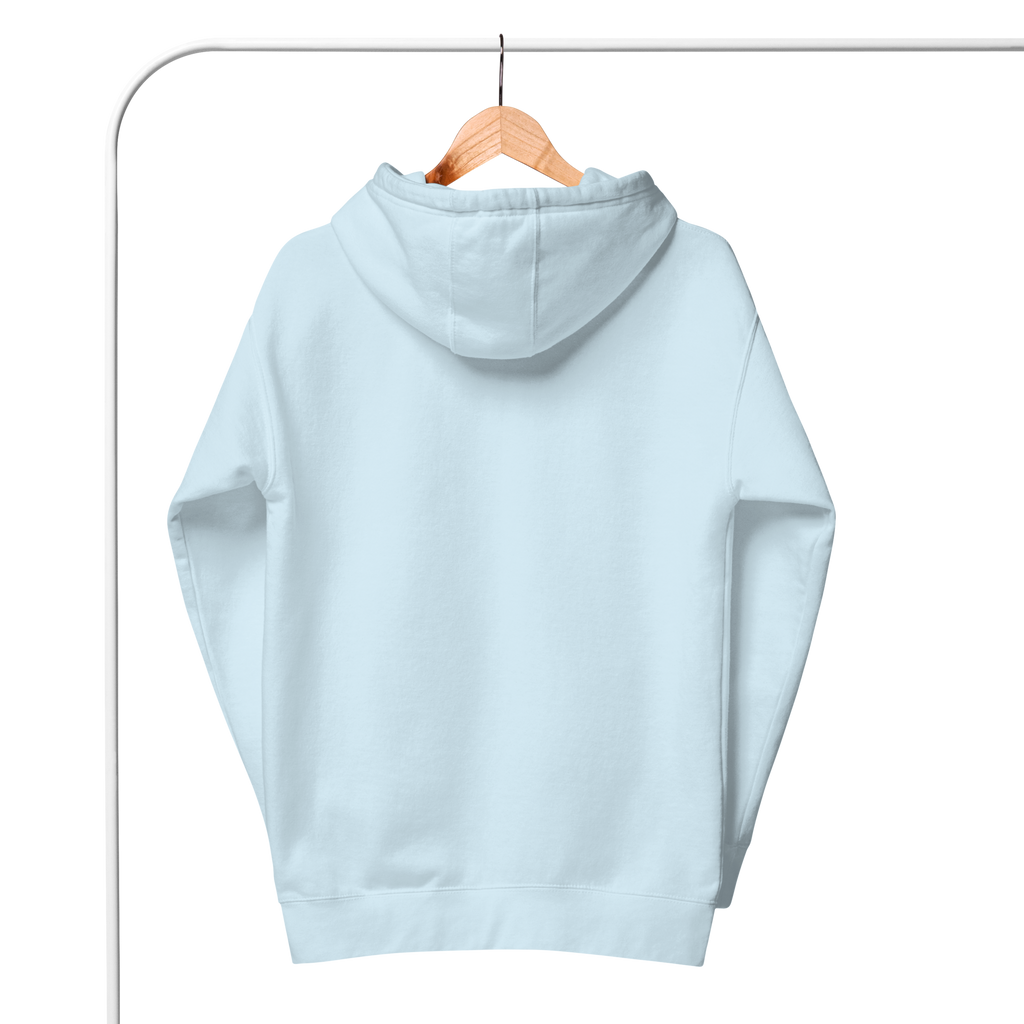 Light Blue Solid Embroidered Hoodie