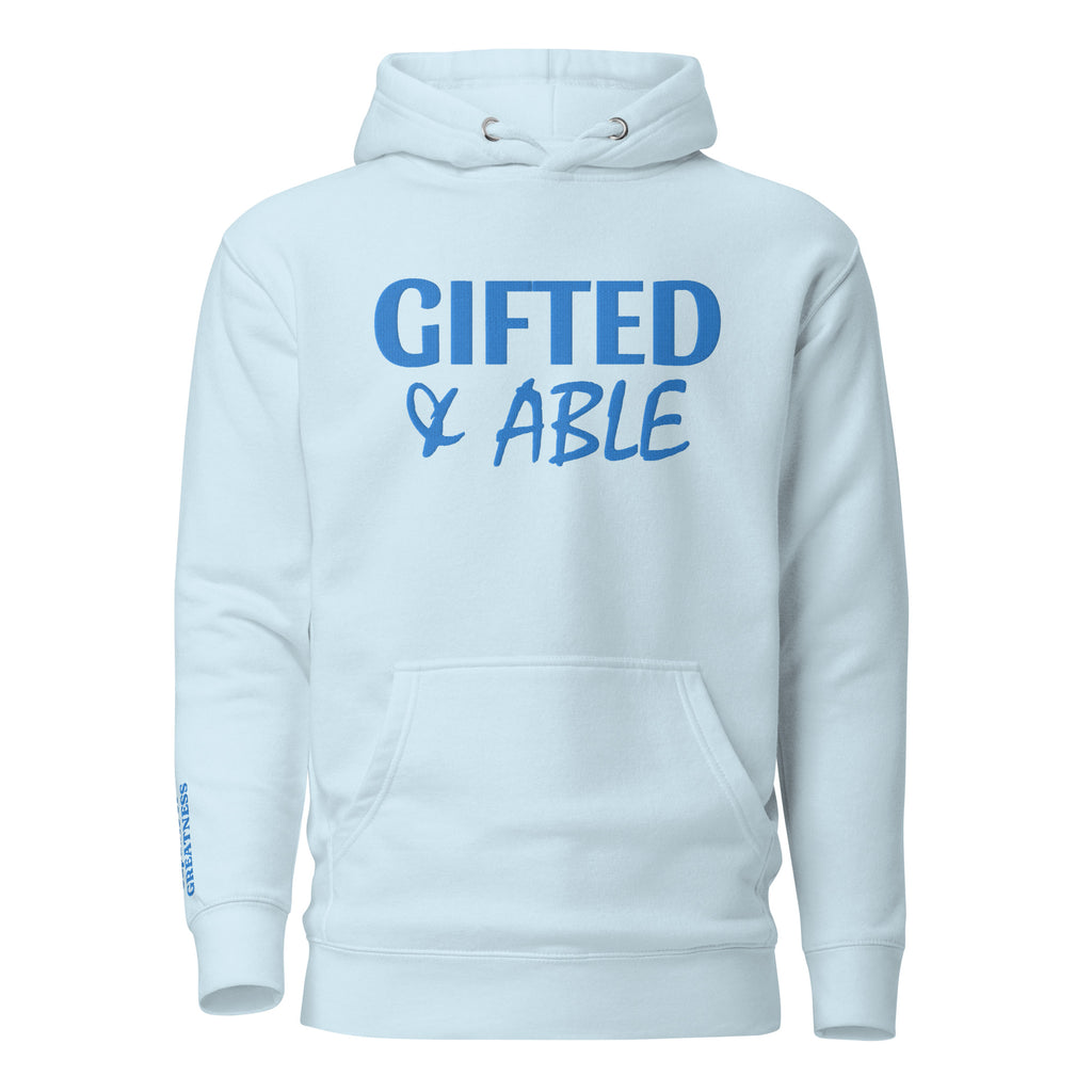 Light Blue Solid Embroidered Hoodie