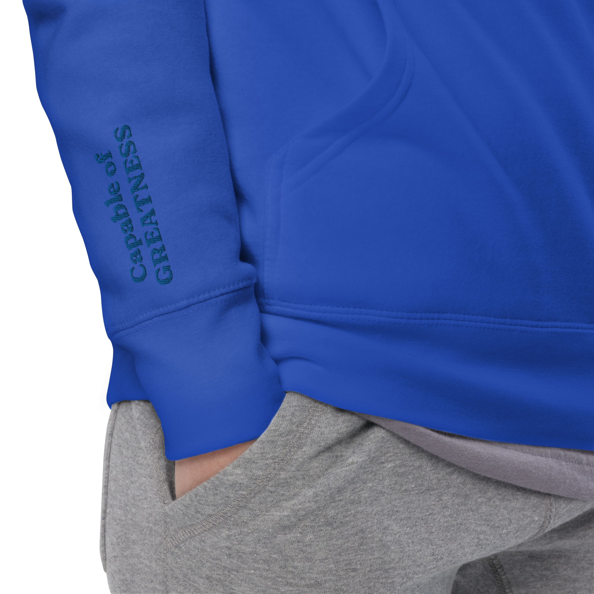Royal Blue Solid Embroidered Hoodie